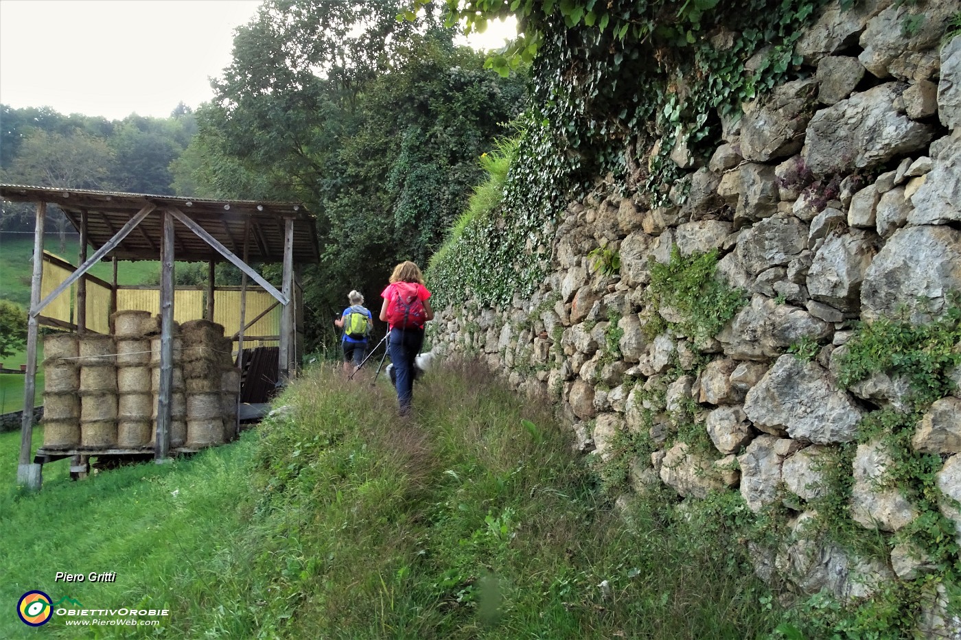 70 Il terreno a monte del sentiero sostenuto da alto muro a secco.JPG